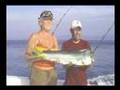 Punta Mita sport fishing, Puerto Vallarta, Nayarit, Mexico