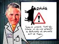 STUNTS & ACCIDENTS Sumo.tv Warning Cyriak Poptique