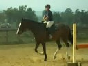 Dreamer...has a \"dreamy\" canter..haha
