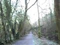 chalford Walk Feb 2008 (Part4)