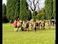 Burntwood Rugby Fight