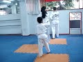 Djalminha e Jessica 1