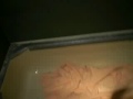 Installing Tile in a Bathroom 5