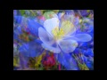 Summer in Winter Park, CO - YouTube