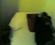 konsul jorgee watching discovery channel