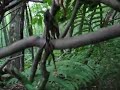 stick fort