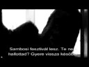 XI. Sambosi Jazzfesztival - A rajongó