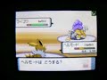 ??? vs ?? - Pokemon DP Wi-Fi battle movie ??? vs ?? - Pokemon DP Wi-Fi battle movie