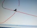 lineflyer xtreme lineflyer xtreme
