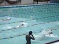 videos de Swimming Match III