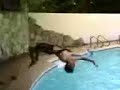 tiamson back dive nung bday ni drew..sodium