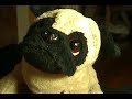 WEBKINZ WORLD NEWS AT 10: ROBBERY!!!