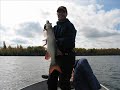 Musky & Walleye Fishing Clarks Camp Vermilion Bay Ontario Ca Musky & Walleye Fishing Clarks Camp Vermilion Bay Ontario Ca