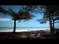 Things to Do in Clearwater Beach, FL - YouTube