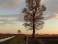 POESIA La bellezza di Dio (Marina Minet Raul Lovisoni) uomo dei boschi