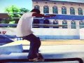EA skate video