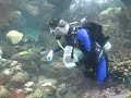 California Academy of Science\