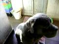 videos de Byron is waiting
