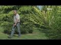 Le Jardin Botanique Des Montagnes Noires [spezet]