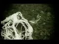 lovely cheesy video from richar swift
