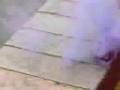 smokebomb