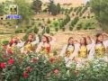 Download Dil Mai Nytham Ami Chani Kashmirir Song Suroor Ll Shahzad Aasim Mp3 Song