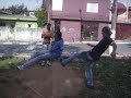 felinos