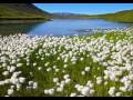A Journey in the North (Nordic folk music)