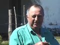 Macaw Blues (part two): A Postmortem for the Glaucous Macaw