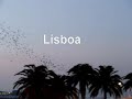 a caminho de lisboa