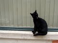 a caminho de lisboa