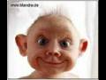 Funny Babies