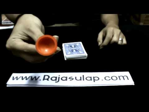 tiny plunger Rajasulap