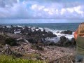 videos de yamauchi fam hawaii 2007