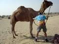 videos de BRAZILIAN X CAMEL
