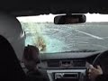Bird crashes into windscreen at 180 mph Bird crashes into windscreen at 180 mph