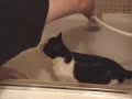 Bath Time Bath Time