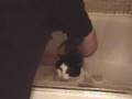Bath Time