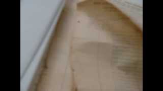 4- مقابلة تاريخ شفوي للنكبة الفلسطينية مع غالب عيد عيد يعقوب من خربة لد العوادين - حيفا المحتلة