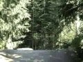 Whistler 06