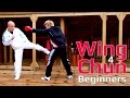 Wing Chun Lesson 20 : basic leg exercise/ blocking a low kicks
