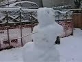 Snow Woman