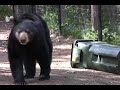 Bear resistant garbage containers