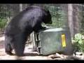 Bear resistant garbage containers
