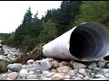 Igor damage in Monroe Newfoundland - 1