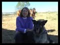 Dog Training Video Production Phoenix Scottsdale AZ Maricopa