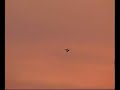 Italian air force Tornadoes