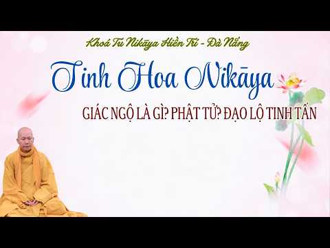 Tinh Hoa NIKAYA - Giác Ngộ Là Gì? Phật Tử? Đạo Lộ Tinh Tấn