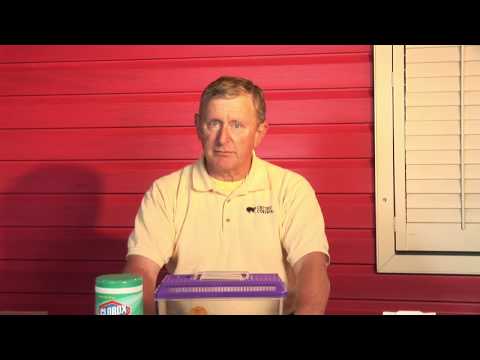 how to get rid of ammonia