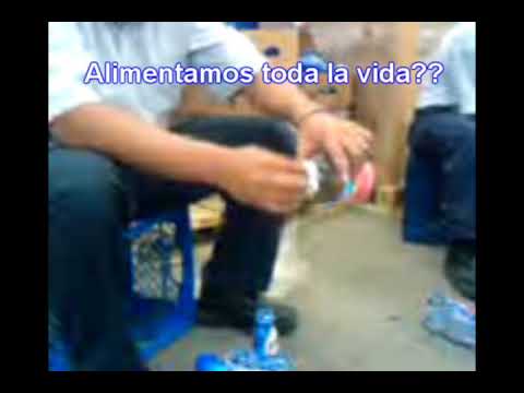 Imagen de previsualización de YouTube